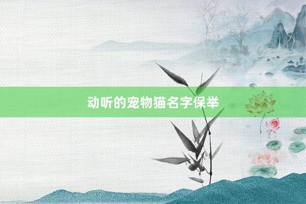 动听的宠物猫名字保举