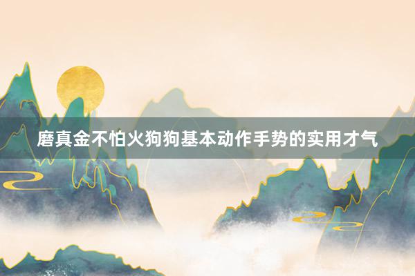 磨真金不怕火狗狗基本动作手势的实用才气